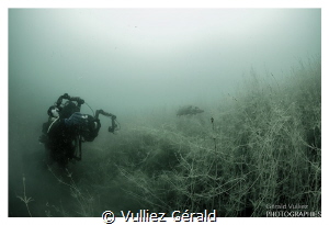 Diver taking a shoot of an adult pike in a little lake by Vulliez Gérald 
